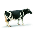 Schleich Collectable - Holstein Cow