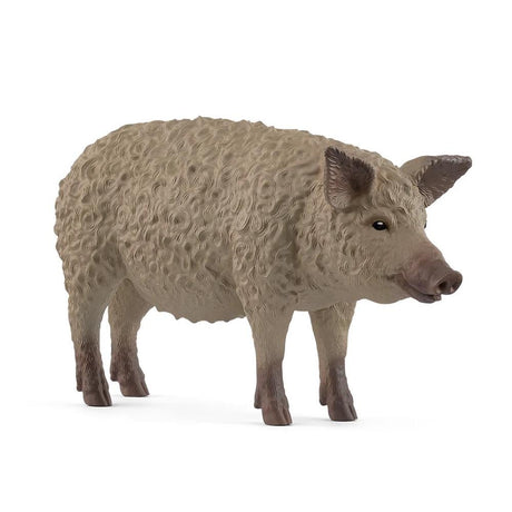 Schleich Collectable - Mangalica