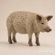 Schleich Collectable - Mangalica