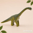 Schleich Collectables - Brachiosaurus