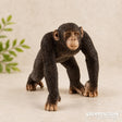 Schleich Collectables - Chimpanzee Male