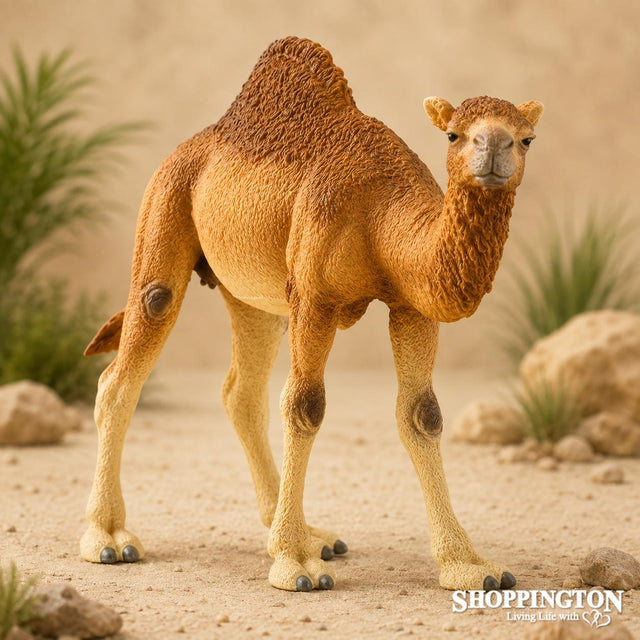 Schleich Collectables - Dromedary