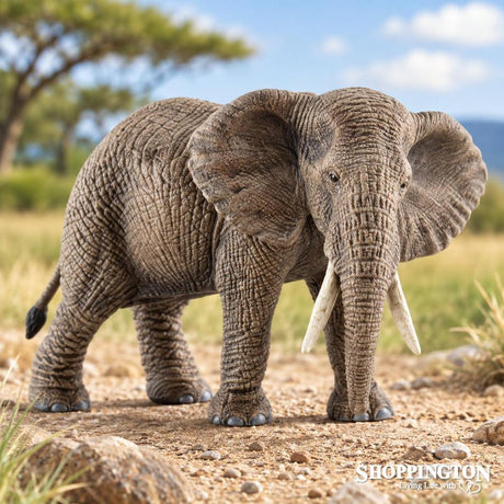 Schleich Collectables - Elephant Female