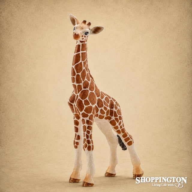 Schleich Collectables - Giraffe Calf