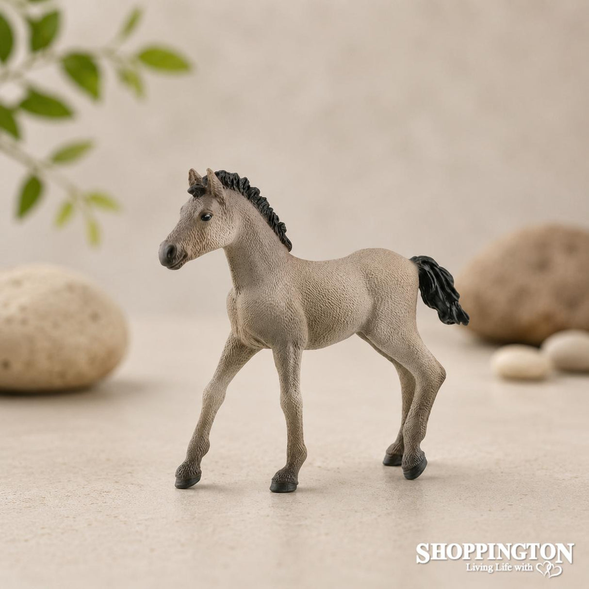 Schleich - Criollo Definitivo Foal