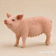 Schleich - Pig
