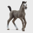 Schleich - Selle Francais Foal