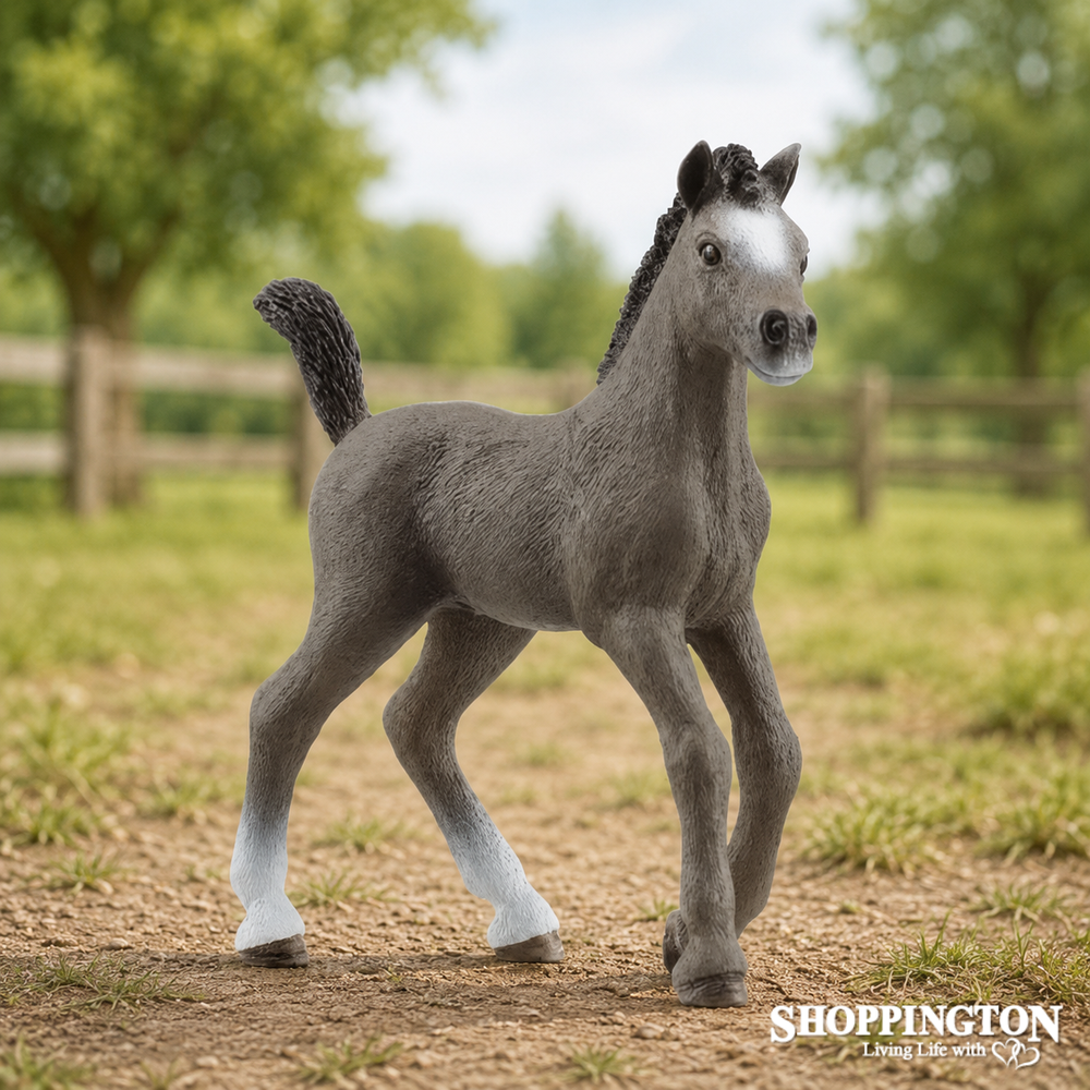 Schleich - Selle Francais Foal