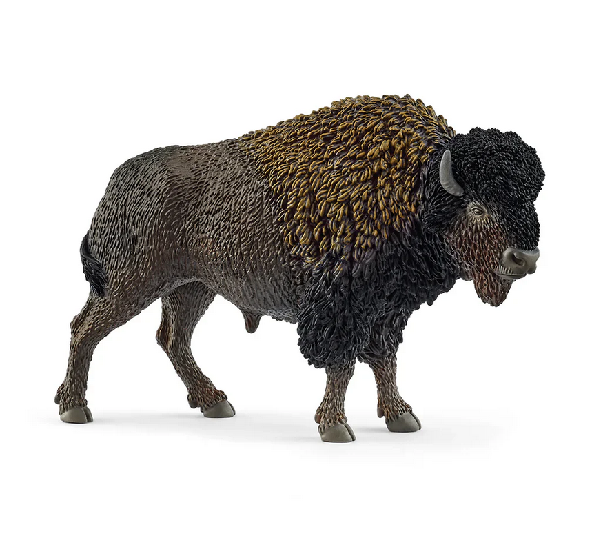 Schleich Collectables - Bison