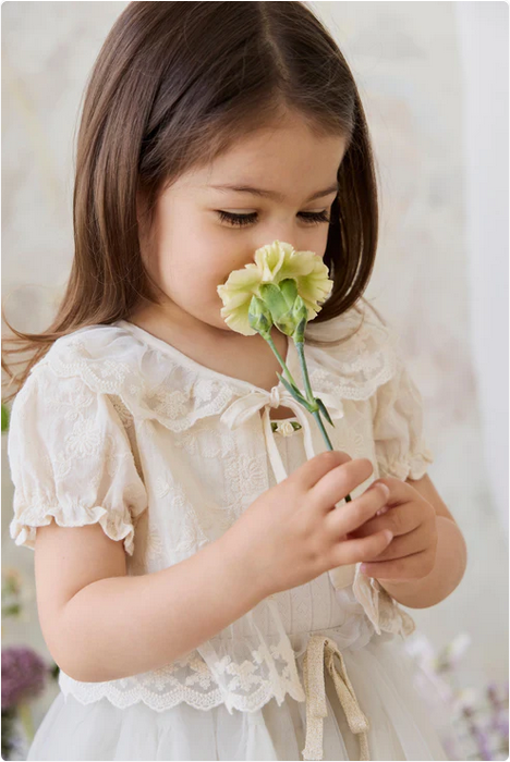 Jamie KayMarceline Top - Natural