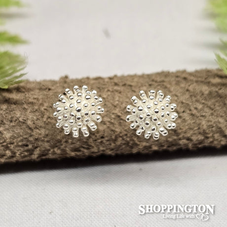 Silver Pohutukawa Studs