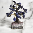 Sodalite Crystal Tree#1