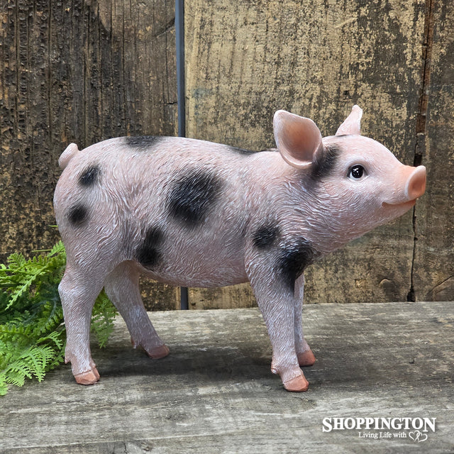 Standing Spotted Garden Pig