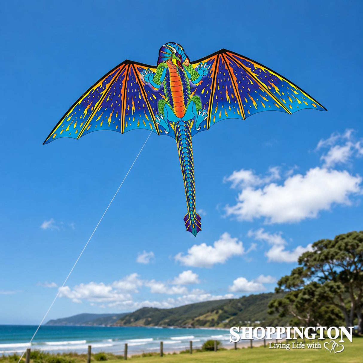 Supersize Kite - 2D Blue Dragon - 177cm