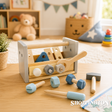 Take Along Tool Box & Tool Bench