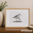 Tara Cassidy - Framed Print - Ku Kuruatu