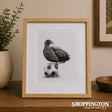 Tara Cassidy - Framed Print - Pukeko Kick