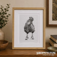 Tara Cassidy - Framed Print - Rooster Run