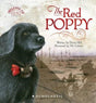 The Red Poppy