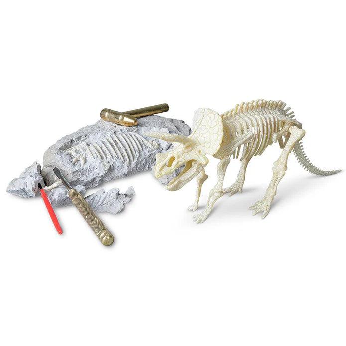 The Triceratops Fossil Paleontology Science Kit