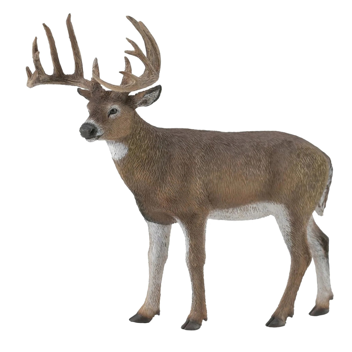 Collect A - White Tailed Deer