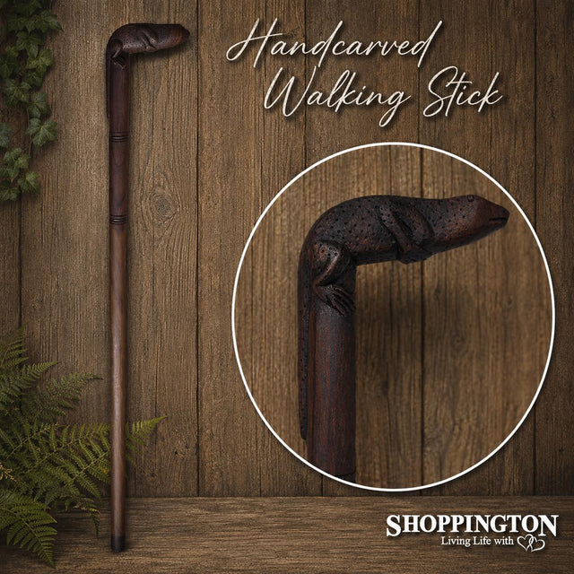Walking Stick / Lizard