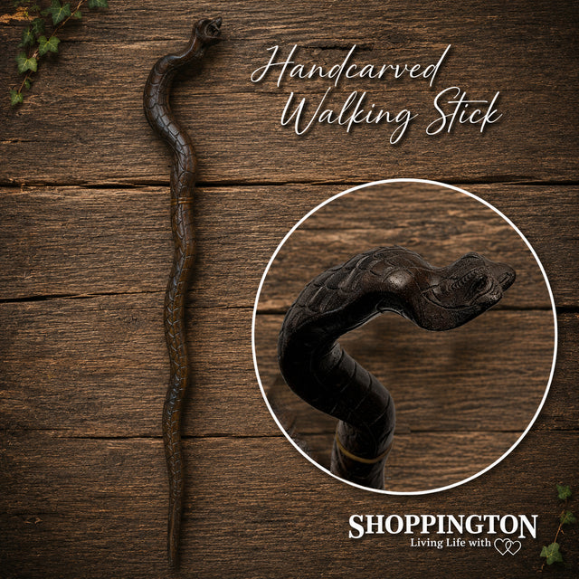 Walking Stick / Snake