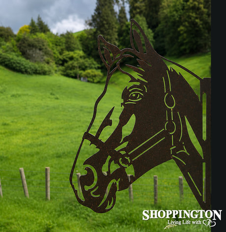 Wall Art - Horse