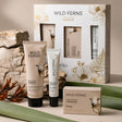 Wild Ferns Gift Box - Lanolin Pamper Trio