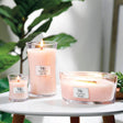WoodWick White Honey Mini
