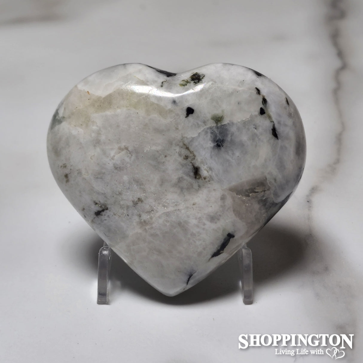Zebra Heart #2