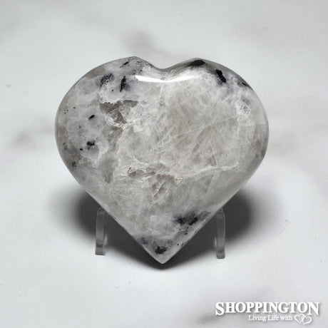 Zebra Heart #3
