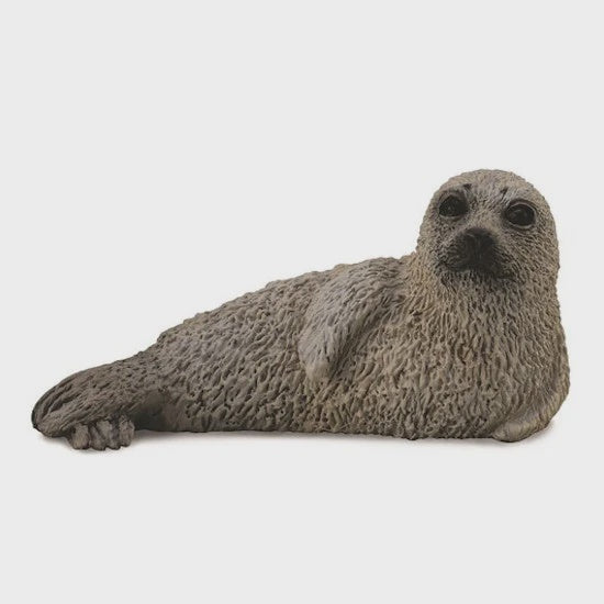 Collect A - Seal Pup