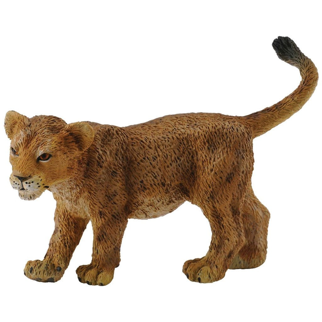 Collect A - Lion Cub Walking