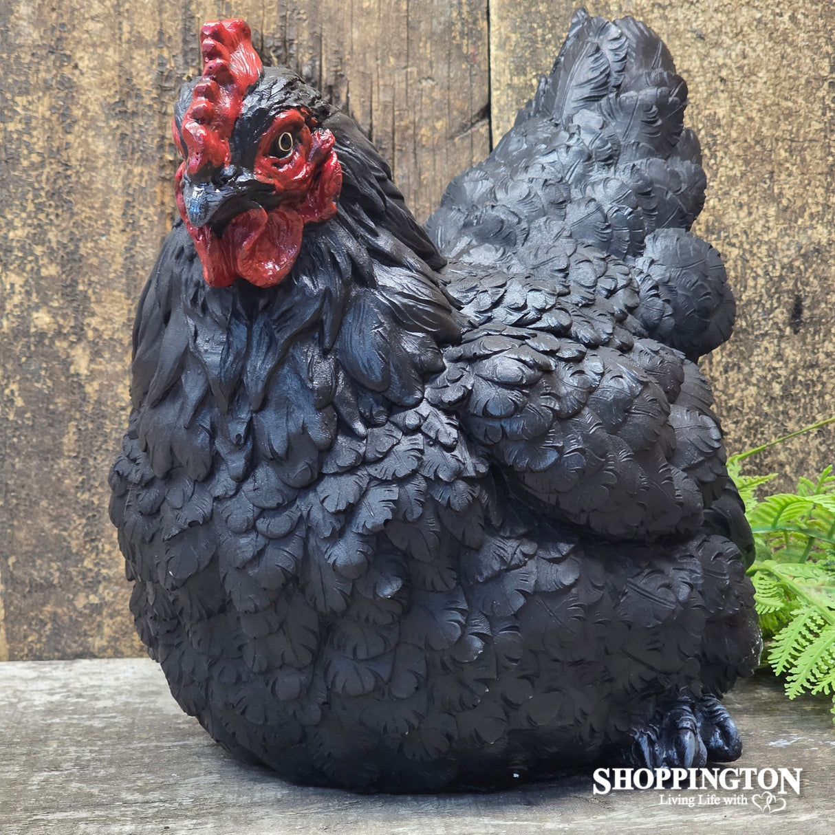 Black Sitting Chicken 26cm