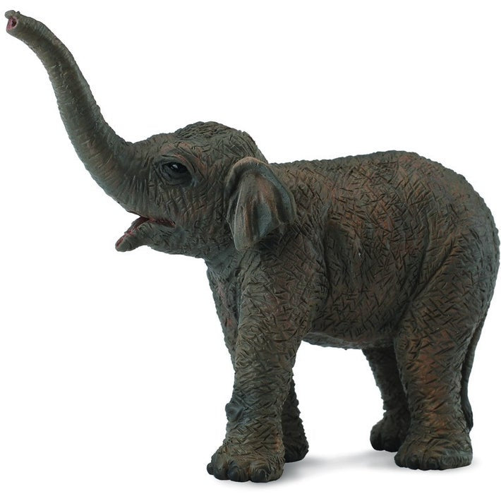 Collect A - Asian Elephant Calf