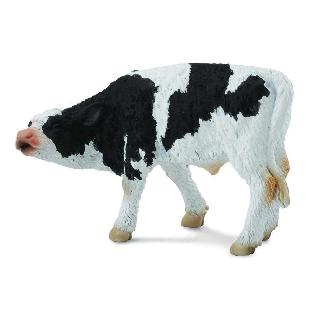 Collect A - Fresian Calf Suckling