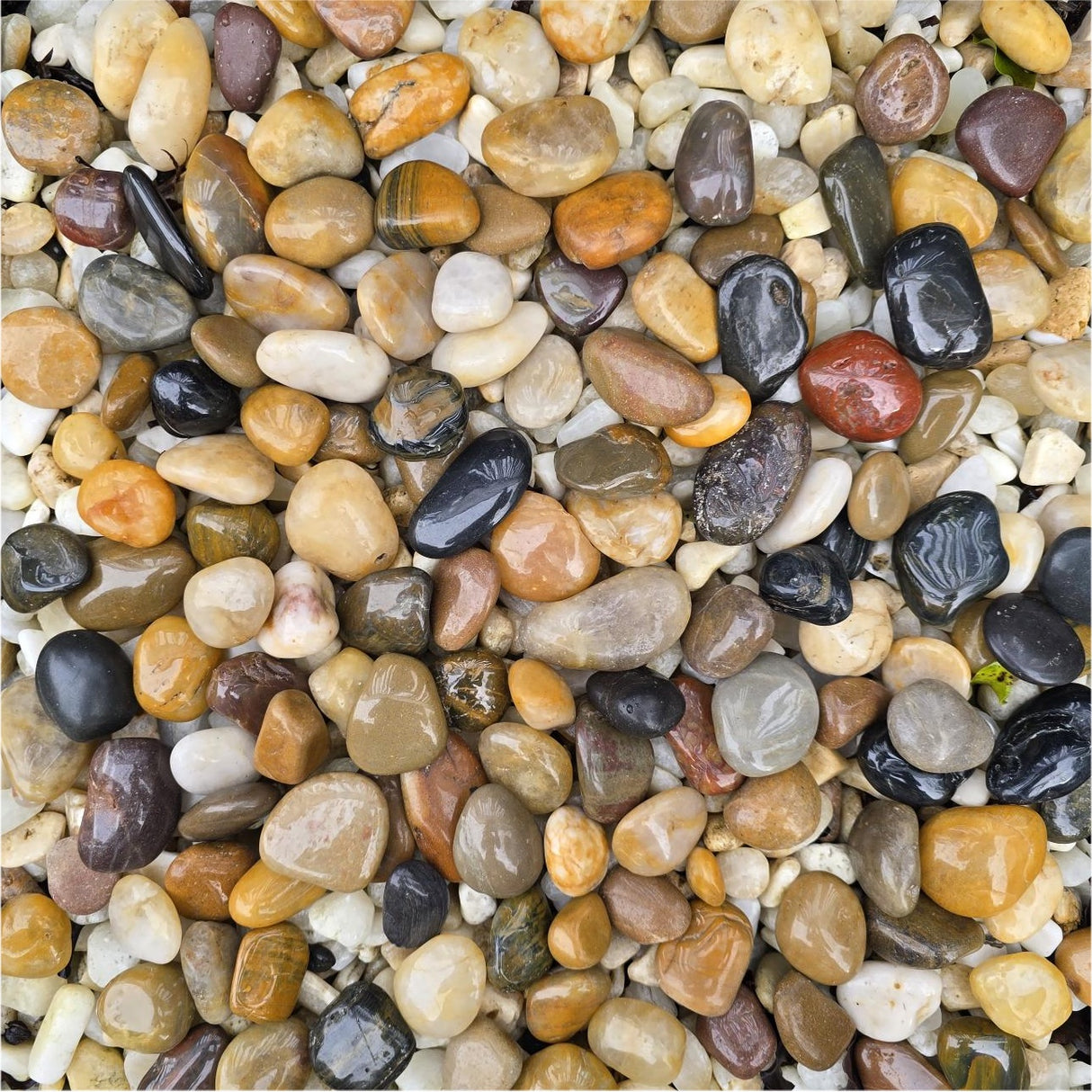 Landscape - Bag of Decorative Stones 500g - Mixed