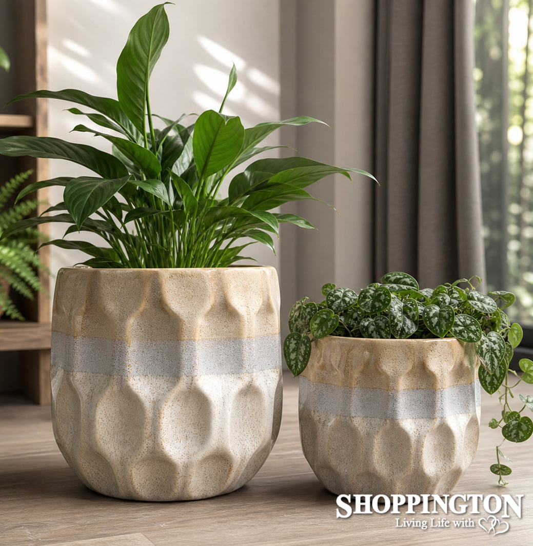 Desert Dune Planters