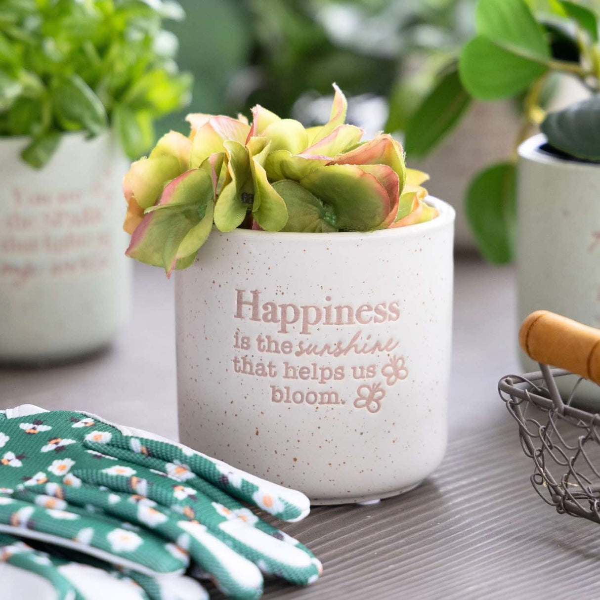 Positive Pots - Happiness is Sunshine