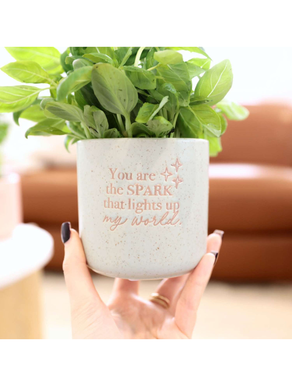 Positive Pots - You are the spark that lights up my world