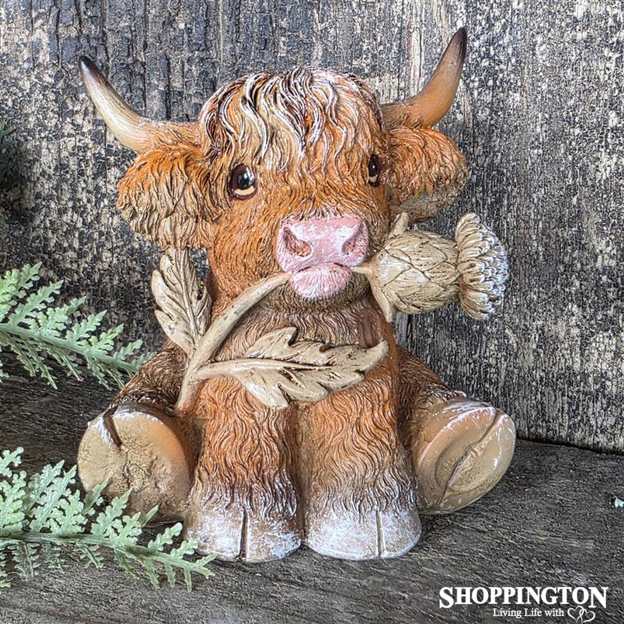 Thistle Highland Cow