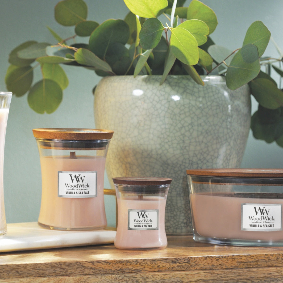WoodWick Vanilla & Sea Salt Mini